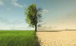 OPEN CLASS | THE NEED FOR THE PARIS AGREEMENT TO EVOLVE