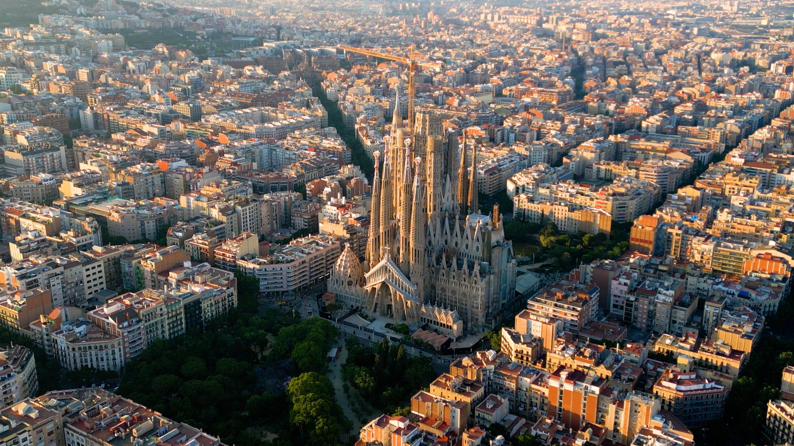MIRDEC 2025 – Barcelona 2025 Conference